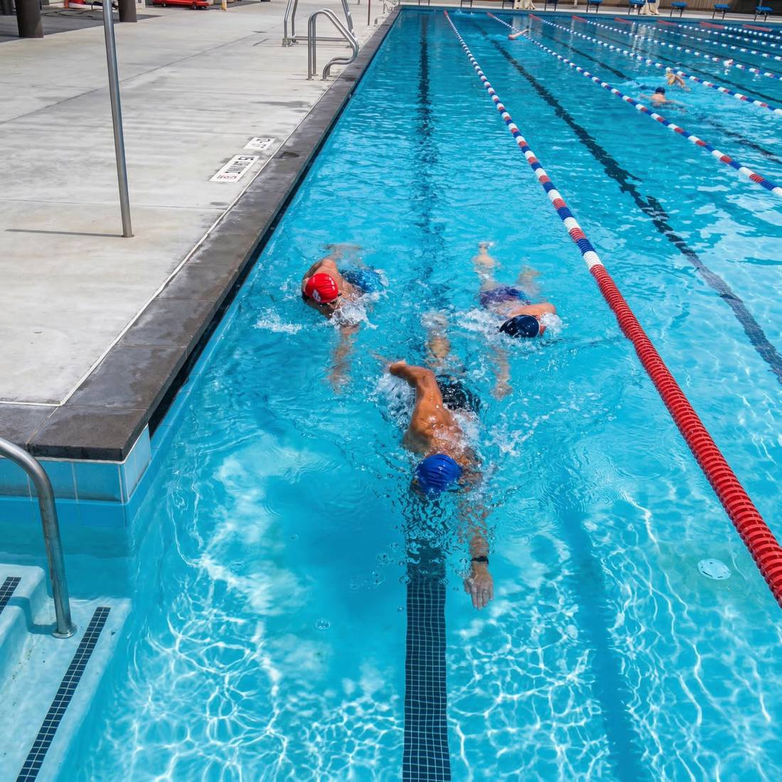 Overhead aerial of swimmers in outdoor pool